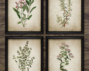 Herb Wall Art Set of 4, Printable Kitchen Herbs, Oregano, Rosemary, Sage, Thyme, , Cooking, Herb Garden, Cook #168 INSTANT DOWNLOAD