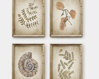 Fossil Wall Art Set Of 4, Printable Fossils Art, Fossil Watercolour Painting, Palaeontologist, Palaeontology #3448 INSTANT DOWNLOAD