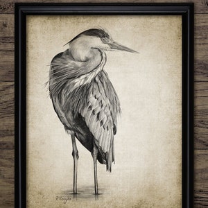 Heron Art Print, Printable Heron, Heron Bird Wall Art, Living Room Decor, Fishing Bird, Freshwater Bird Art Drawing #3857 INSTANT DOWNLOAD