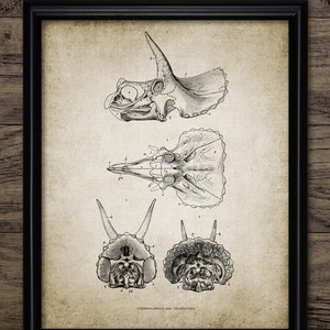 Triceratops Skull Anatomy, Printable Dinosaur Bedroom Art, Ceratopsid Dinosaur, Paleontology, Extinct Animal Fossil  #2180 INSTANT DOWNLOAD