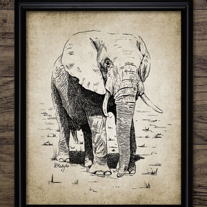 African Elephant Print - Elephant Pen and Ink Art - Elephant Illustration Digital Art - Printable Art - Single Print #1005 -INSTANT DOWNLOAD