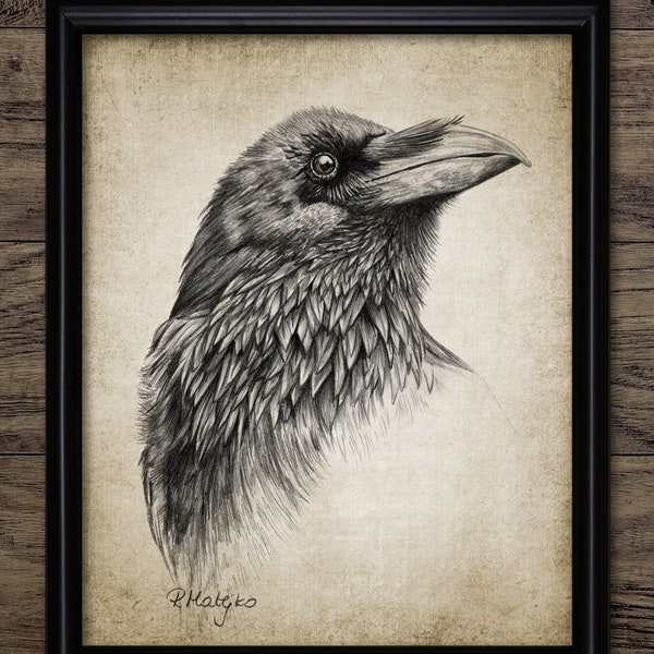 Raven Pencil Drawing, Printable Raven, Raven Poster, Gothic Decor, Witchcraft, Black Bird, Printable Raven Wall Art #3892 INSTANT DOWNLOAD