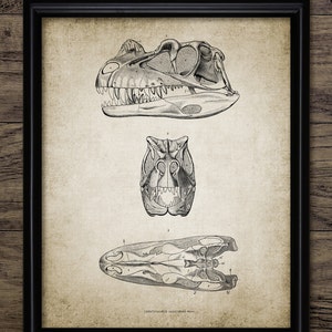 Dinosaur Wall Art, Printable Ceratosaur, Theropod Dinosaur, Paleontology, Geology Science Fossil, Dinosaur Bedroom #2183 INSTANT DOWNLOAD