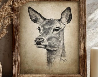 Deer Pencil Drawing, Animal Decor, Rustic Woodland Animal Wall Art, Vintage Forest Wildlife Sketch