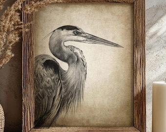 Heron Pencil Drawing, Wading Lake Birds Decor, Grey Heron Wall Art, Blue Heron Bird Sketch