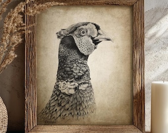 Pheasant Pencil Drawing, Game Bird Sketch, Gamekeeper Gift, Woodland Animal Print from Original Pencil Sketch