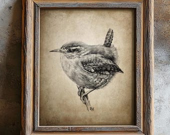 Wren Pencil Drawing, Bird Decor, Jenny Wren Wall Art, Cute Garden Bird Sketch