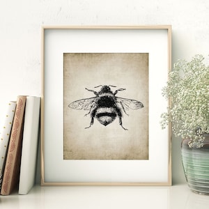 Bumble Bee Wall Art, Printable Bumble Bee, Insect Art, Vintage Bee Drawing, Bees, Entomology #60 INSTANT DOWNLOAD