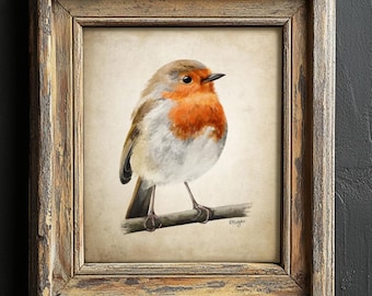 Robin Painting, British Garden Birds Decor, Vintage Robin Redbreast Wall Art, Rustic Bird Sketch