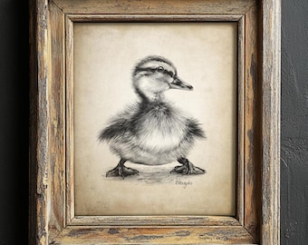 Duckling Pencil Drawing, Cute Duck Nursery Decor, Rustic Duck Wall Art, Baby Duck Sketch