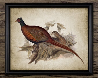 2 x A4 Set Set Pheasant Fight Watercolor Prints Wall Art Pictures Living Room 2 x A4 Set Set Pheasant Fight Watercolor Prints Wall Art Pictures Living Room