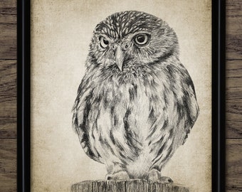pix Creative Owl Pencil Drawing owl pencil drawing etsy