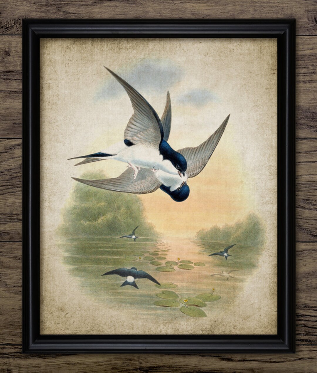 House Martin Bird Wall Art Vintage Digital Print Printable House 
