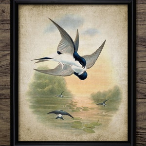 House Martin Bird Wall Art, Impresión digital vintage, Casa Martin Bird imprimible, Impresión rústica de aves instantáneas #4527 DESCARGA INSTANTÁNEA