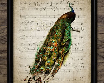 Peacock Print - Peacock Illustration - Peacock Bird - Bird Art - Digital Art - Printable Art - Single Print #124 - INSTANT DOWNLOAD
