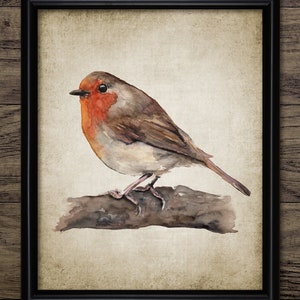 Robin Watercolour Painting, Printable Robin Painting, Christmas Robin Bird, Robin Bird Wall Art, Cute Bird Wall Art #3463 INSTANT DOWNLOAD