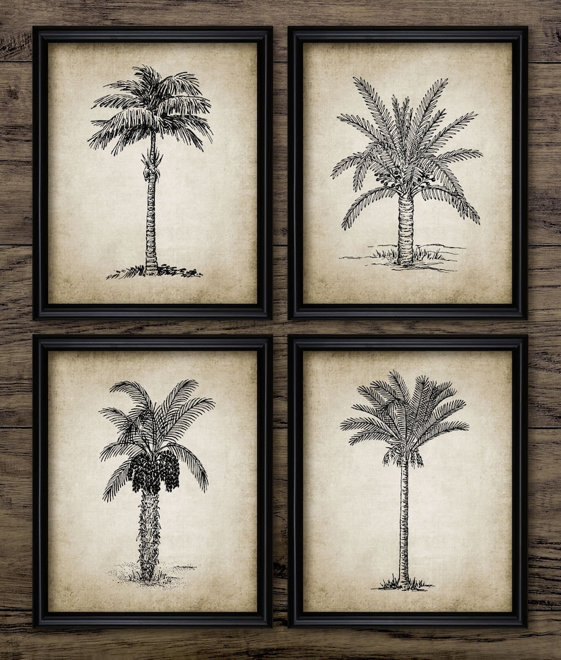 A beautiful set of vintage palm tree illustrations upon a wonderful vintage effect background.