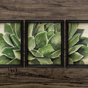 Succulent Watercolour Painting Set Of 3, Printable Botanical Art, Green Plant Triptych Wall Art #3706 INSTANT DOWNLOAD