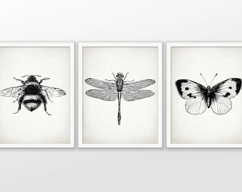 Insect Art Print Set of 3 - Dragonfly - Butterfly - Bumble Bee - Entomology - Insect Print - Set Of Three Prints #1600 - INSTANT DOWNLOAD