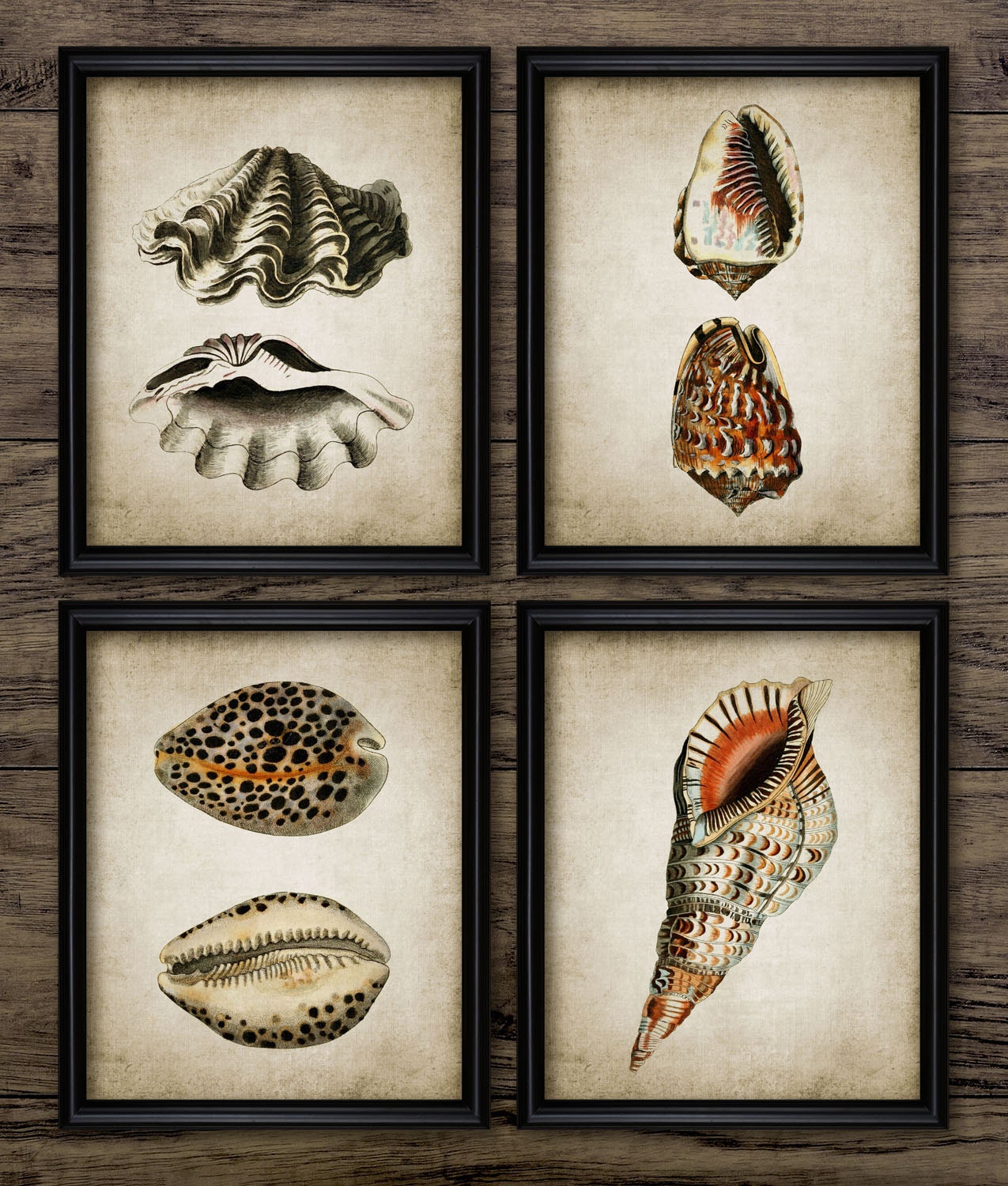 Bathroom Wall Art Set of 4 Printable Bathroom Seashell Etsy