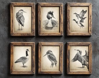 Water Birds Print Set of 6, Heron Cormorant Ducks Kingfisher Goose Grebe Pencil Drawings, Lake Bird Sketches, British Wildlife Art