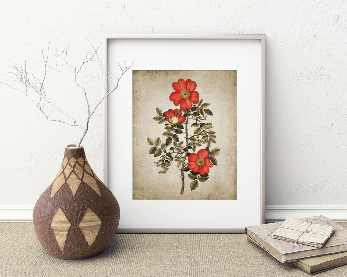 Wild Rose Wall Art Print Rustic House Decor Vintage Red Rose Etsy