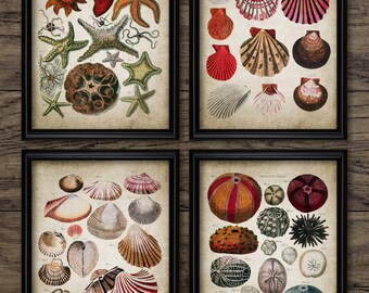 Bathroom Wall Art Set Of 4, Printable Bathroom, Starfish, Sea Urchin, Seashell, Beach House, Marine, Ocean Sealife #3174 INSTANT DOWNLOAD