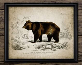 Bruine beer print - vintage beer illustratie - beer decor - beer kunst - digitale kunst - afdrukbare kunst - enkele afdruk # 2222 - INSTANT DOWNLOAD