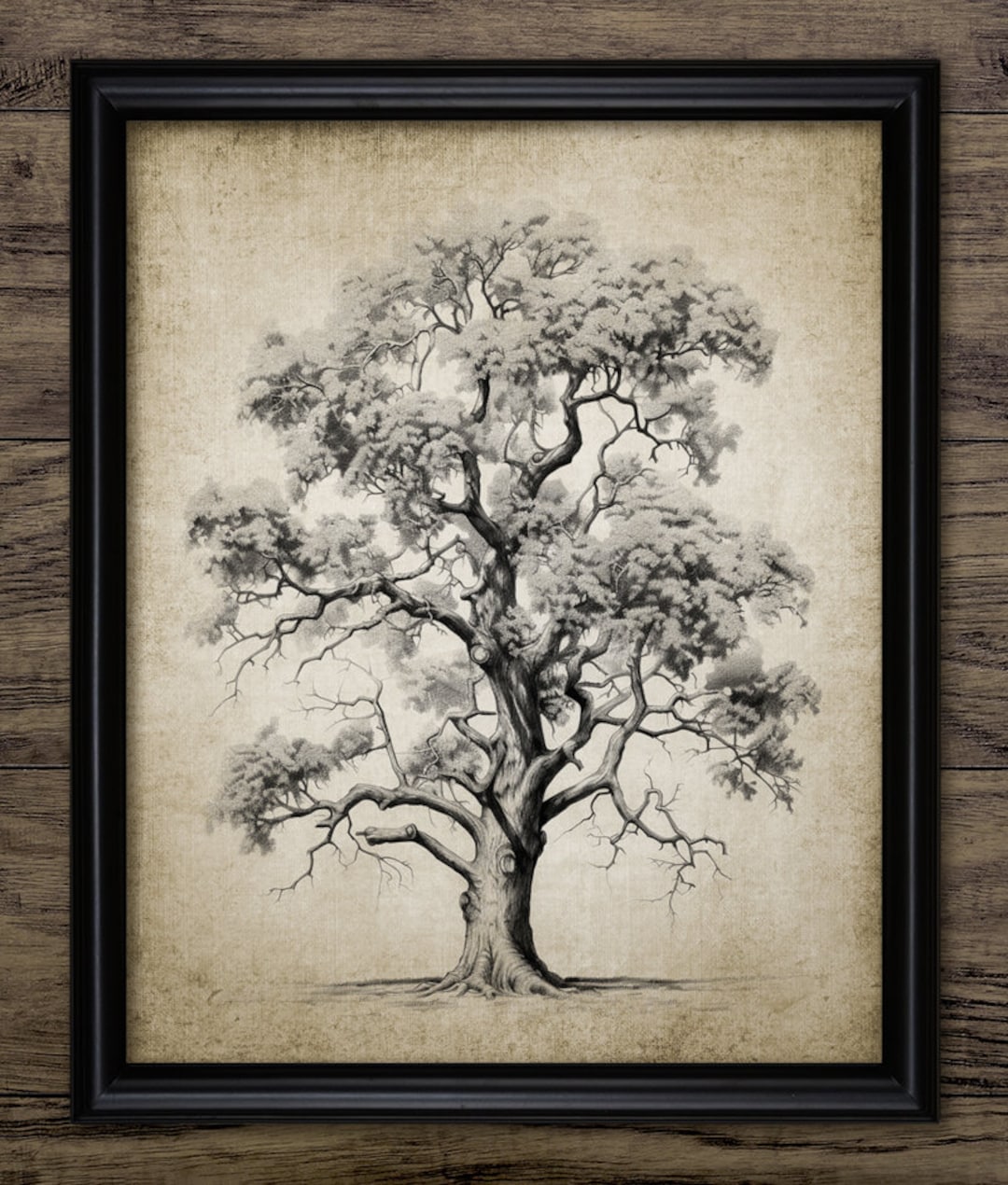 Autumn Oak Tree Drawing Wall Art, Printable Oak Tree, Fall Forest Art