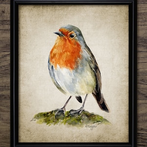Robin Watercolor Painting, Printable Robin Painting, Robin Bird Decor, Robin Bird Wall Art, Cute Bird Wall Art #3923 INSTANT DOWNLOAD