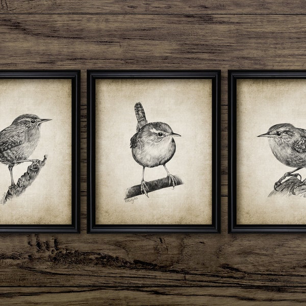 Wren Pencil Drawing Set Of 3, Printable Wren Drawing, Instant Bird Print, Garden Bird, Wren Bird Art, Ornithology #4081 INSTANT DOWNLOAD