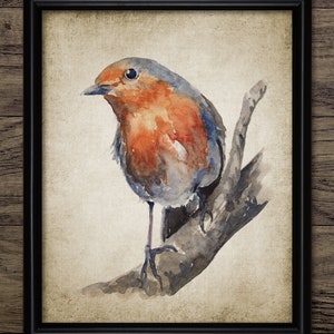 Robin Watercolour Painting Wall Art, Printable Robin Bird, Ornithology, Robin Redbreast, Cute Garden Bird #3458 INSTANT DOWNLOAD