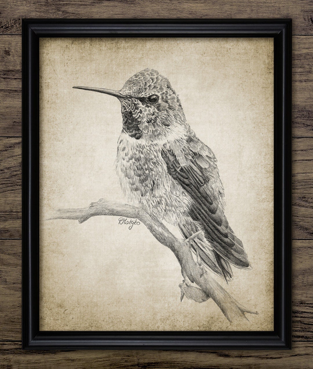 Hummingbird Pencil Drawing, Hummingbird Drawing, Printable Hummingbird ...