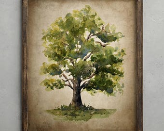 Oak Tree Watercolour Print, Antique Tree Illustration, Vintage Decor, Botanical Wall Art, Rustic Tree Prints