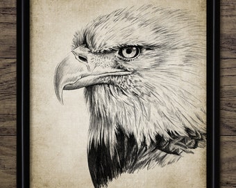 Realistic eagle drawing by ormegil on DeviantArt