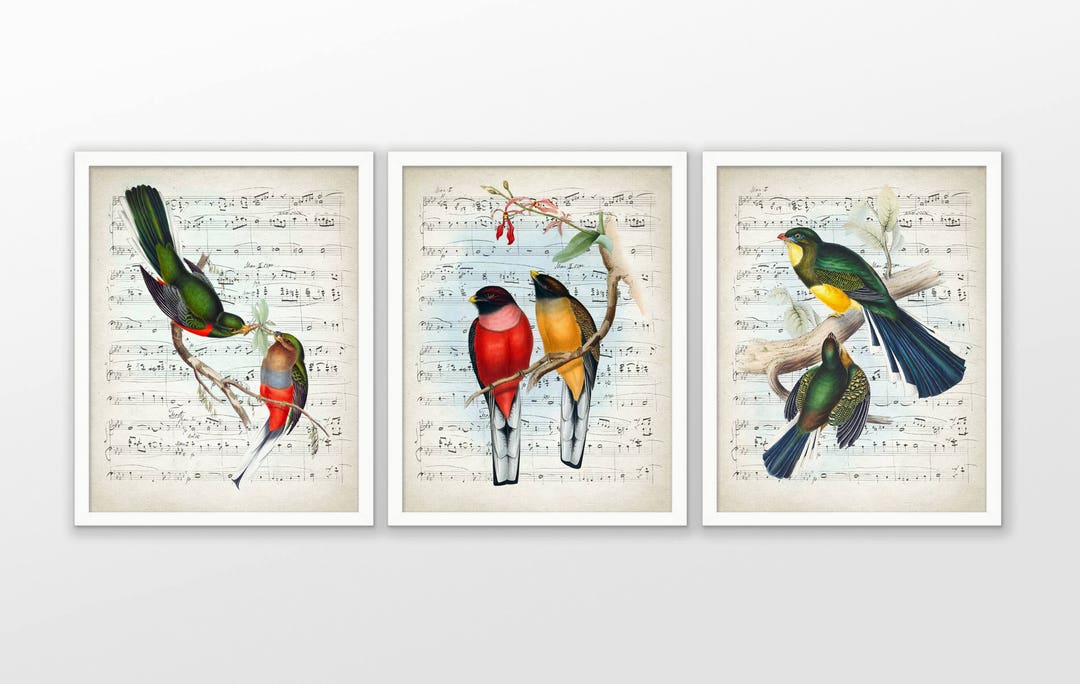 Vintage Bird Wall Art Set of 3, Printable Colourful Birds Upon A Music ...