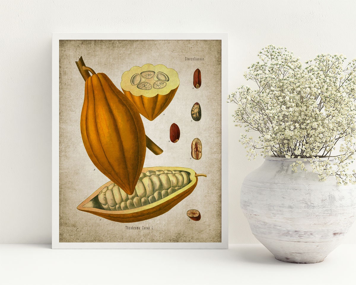 Cocoa Wall Art Printable Cocoa Rustic Farmhouse Kitchen - Etsy