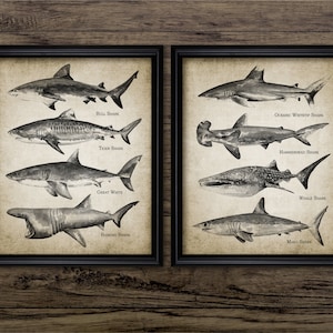 Shark Wall Art Set Of 2, Printable Sharks, Shark Watercolour Painting, Sharks Of The World, Shark Bathroom Wall Art #3428 INSTANT DOWNLOAD
