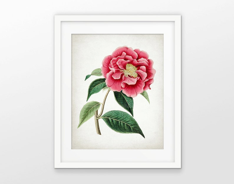 Pink Flower Art Print Pink Flower Decor Floral Decor Etsy