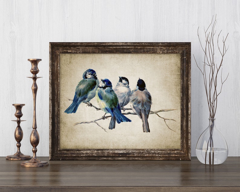 vintage-blue-birds-print-garden-bird-birds-on-a-branch-bird-etsy-uk
