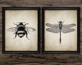 Insect Wall Art Set of 2, Printable Insects, Dragonfly, Bumble Bee, Entomology, Bees, Flying Insects, Wildlife, Nature #63 INSTANT DOWNLOAD