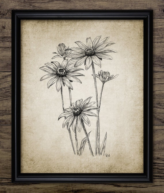Daisy lápiz dibujo imprimible Daisy lápiz dibujo Daisy flor - Etsy España Daisy lápiz dibujo imprimible Daisy lápiz dibujo Daisy flor - Etsy España