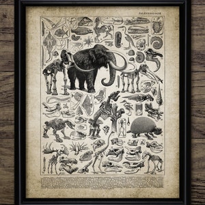 Prehistoric Art Print, Printable Paleontology, Evolution, Mammoth Wall Art, Fossil Record Print, Geology Student Gift #3797 INSTANT DOWNLOAD
