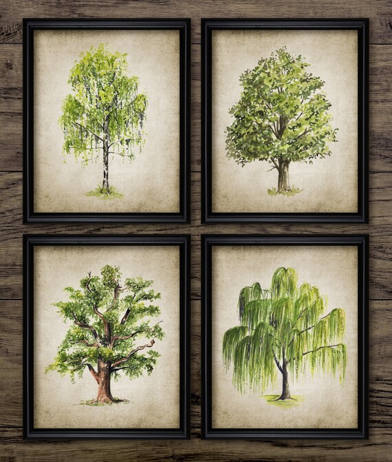Tree Watercolor Painting Set Of 4, Printable Tree, Tree Living Room Art, Oak, Willow, Birch, Chestnut, Botanical Art #3805 INSTANT DOWNLOAD