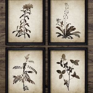 Botanical Watercolor Print Set of 4 - Plant Botanical Art - Botany Art Print - Printable Art - Set Of Four Prints #292 - INSTANT DOWNLOAD