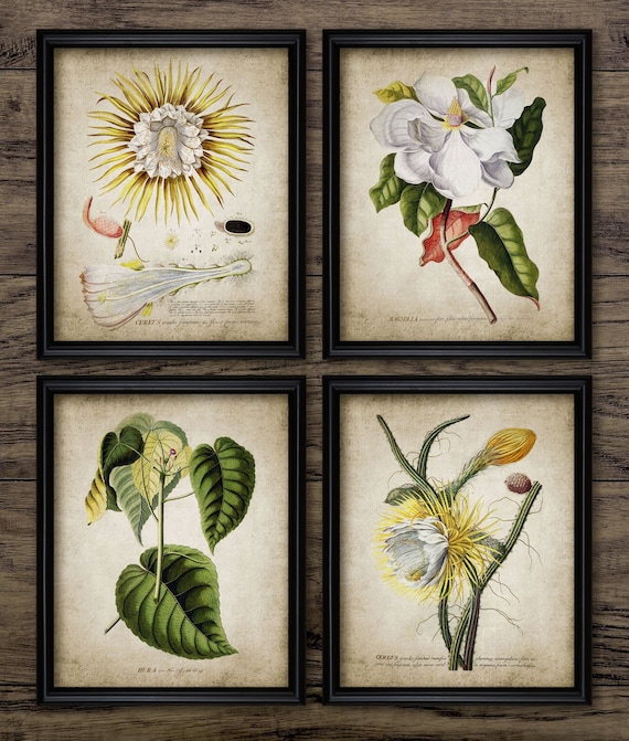Vintage Flower Wall Art Set of 4, Printable Flowers, Vintage Botanical, Gardening Art, Gardener Gift Idea #177 INSTANT DOWNLOAD