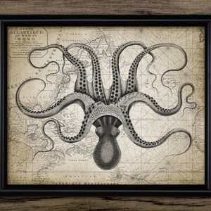 Oktopus, Oktopus Zeichnung, Karte mit Meeresbiologie, Vintage Poster, Druckbare Kunst, Oktopus Zeichnung #3576 SOFORT DOWNLOAD