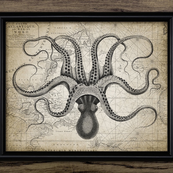 Octopus Art Print - Etsy