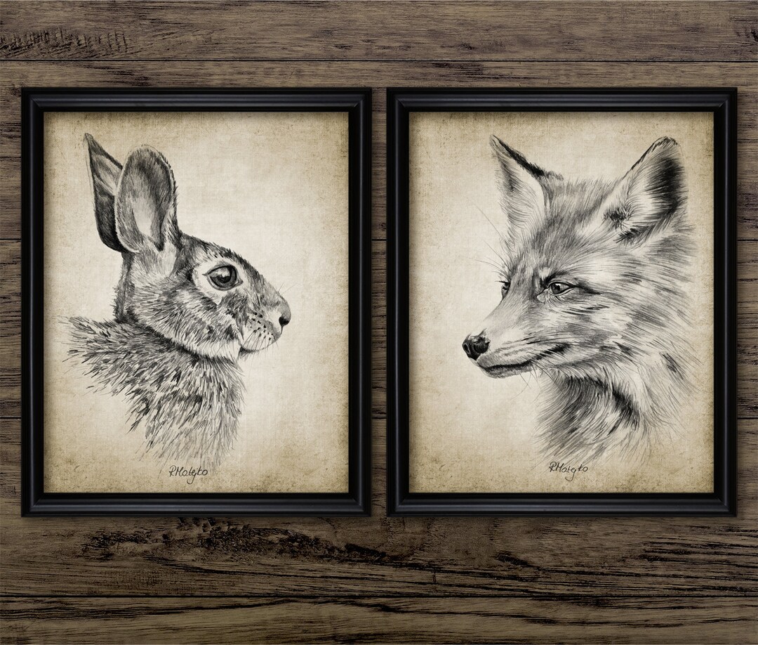 Woodland Animal Drawing Wall Art Set of 2 Rabbit Red Fox Etsy