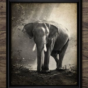 Elephant Wall Art, Printable Elephant Art, Elephant Illustration #2448 INSTANT DOWNLOAD